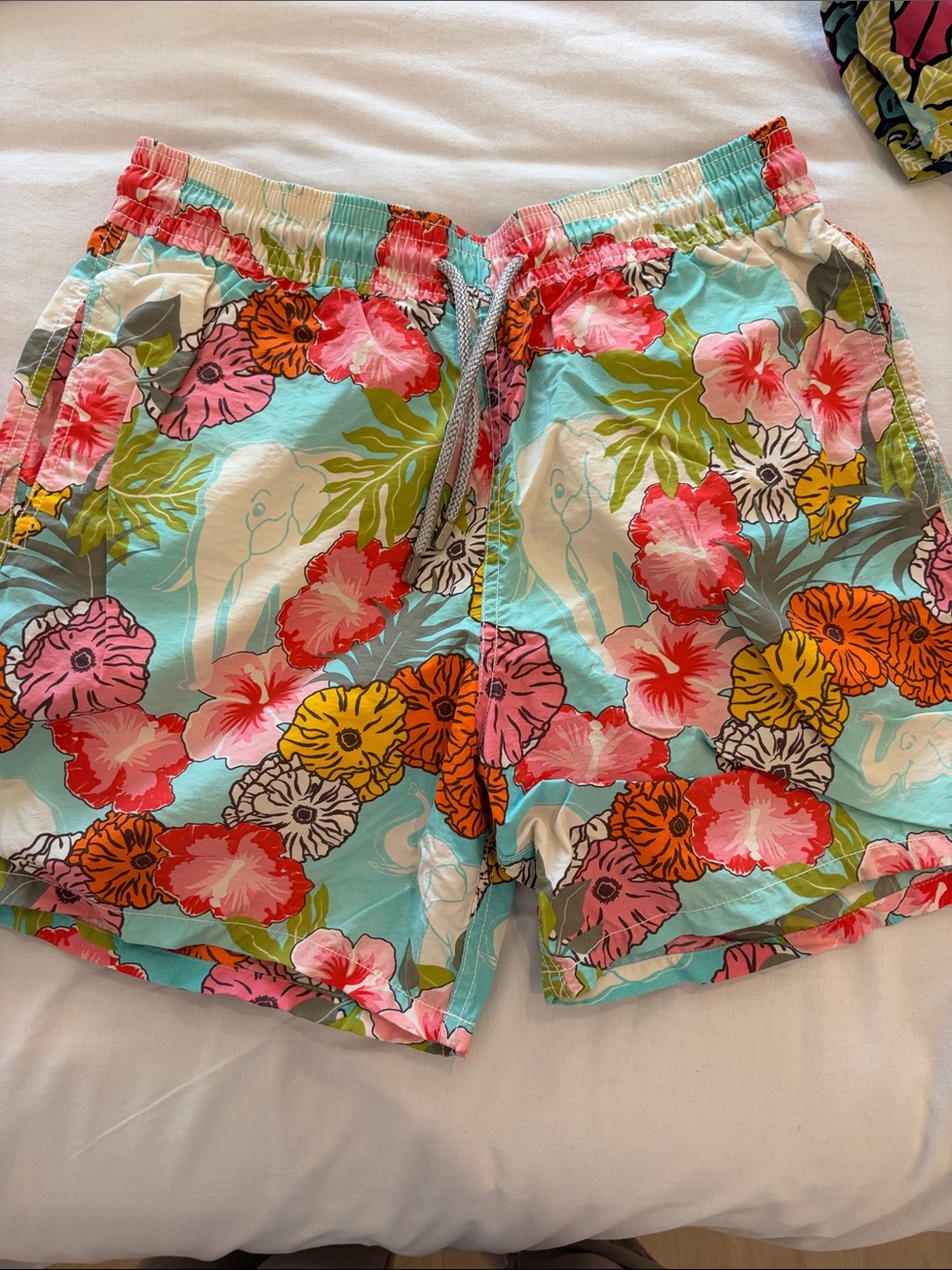 Vilebrequin Swimming Trunks